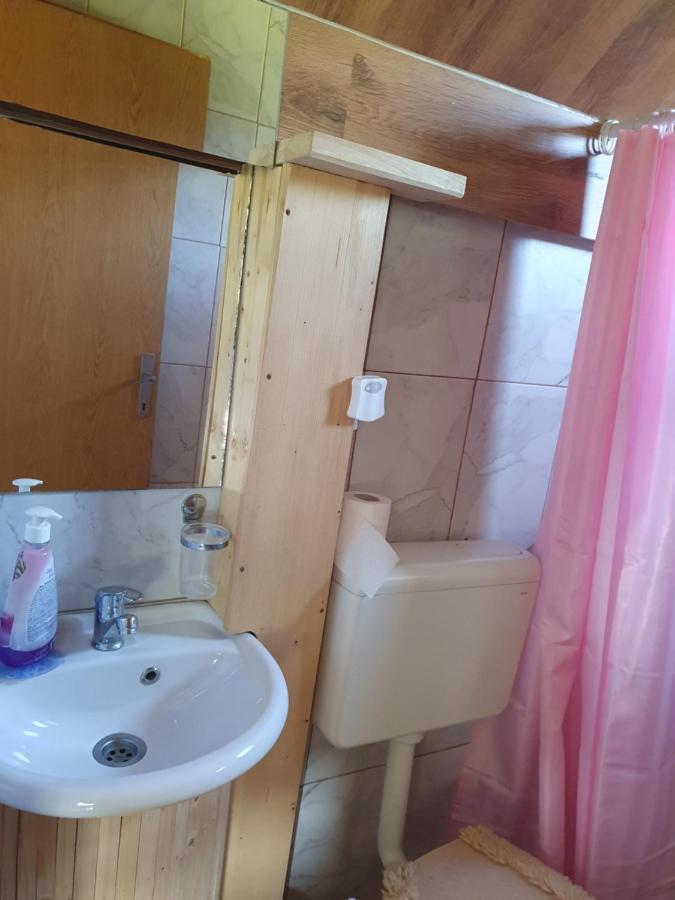 Planinska Koliba Ajdanovici Jelovac Nisicka Visoravan Olovo  Exterior photo